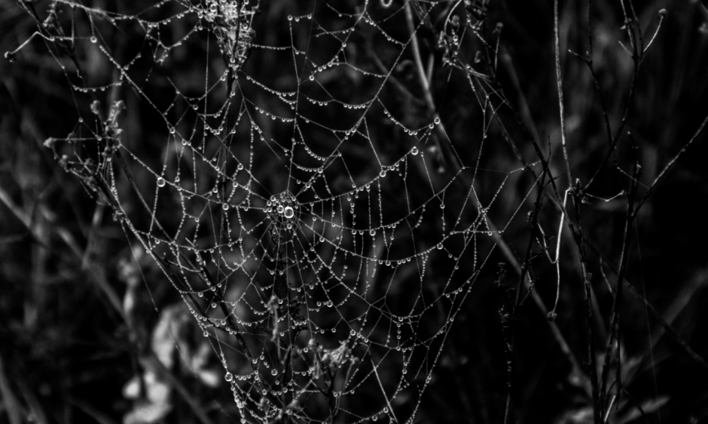 creepy photography ideas