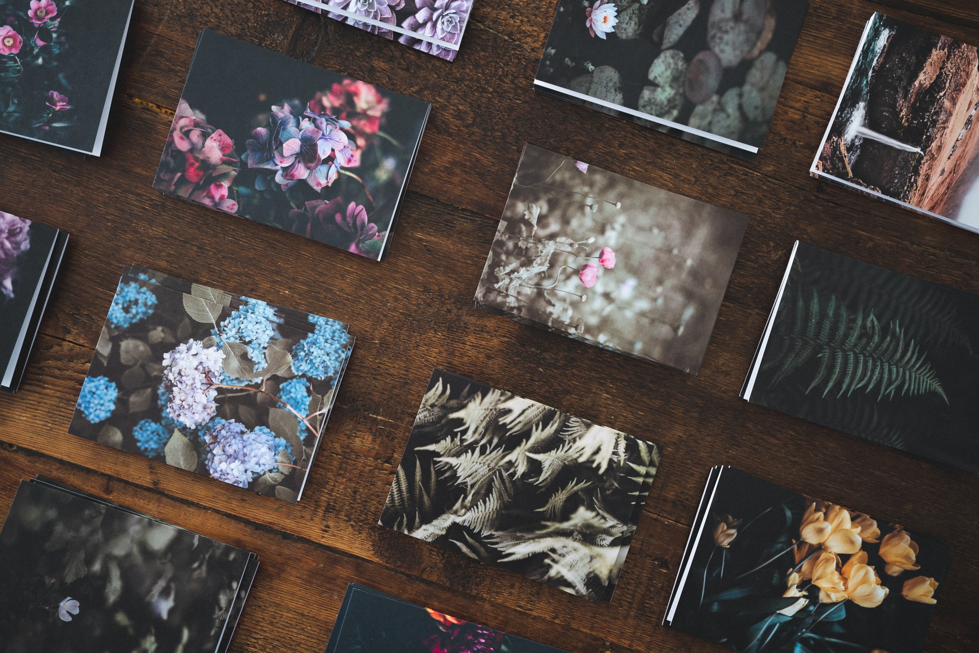 nations photo lab prints