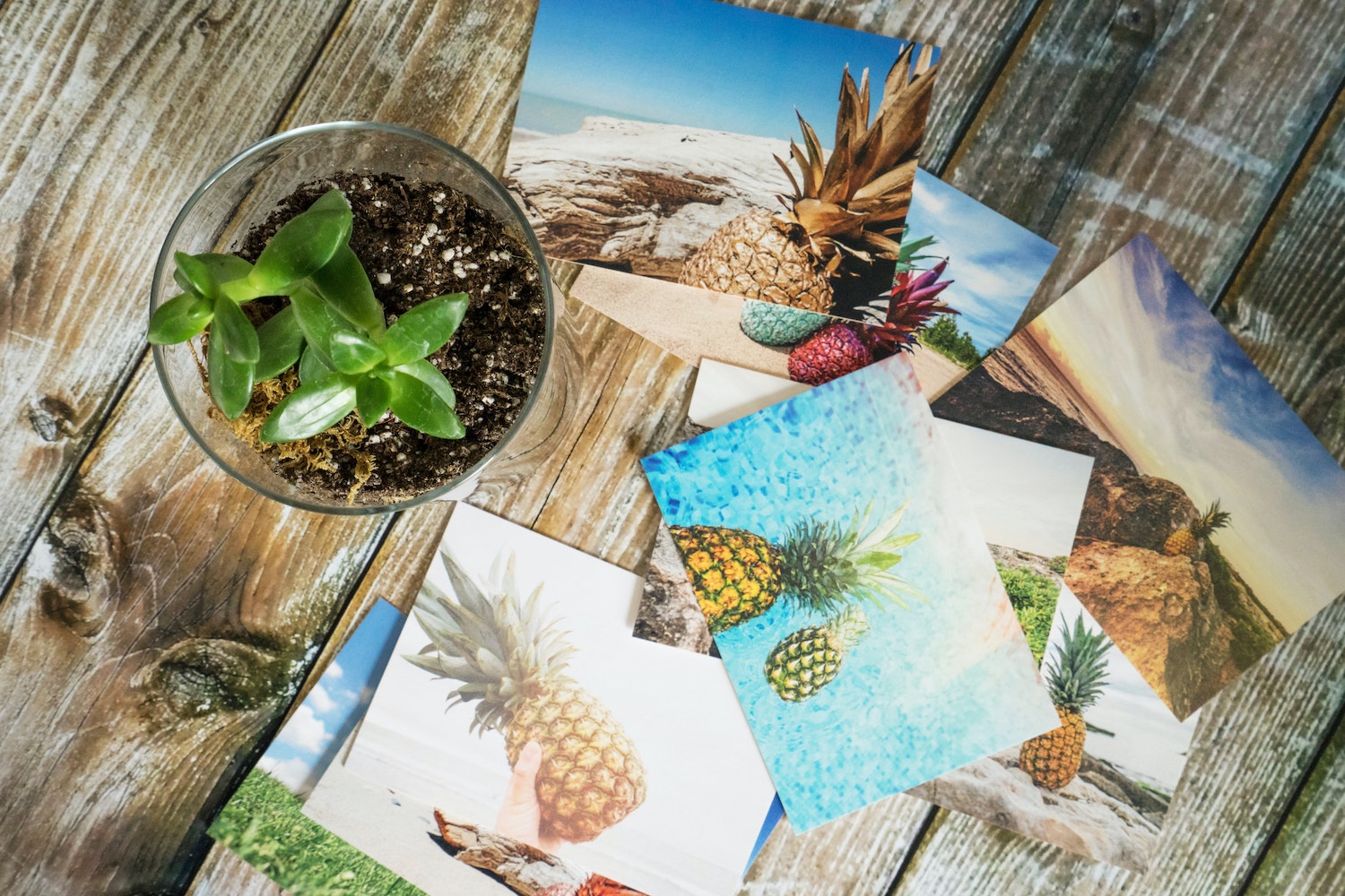 camera craft prints