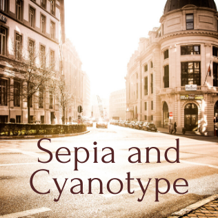 sepia collection