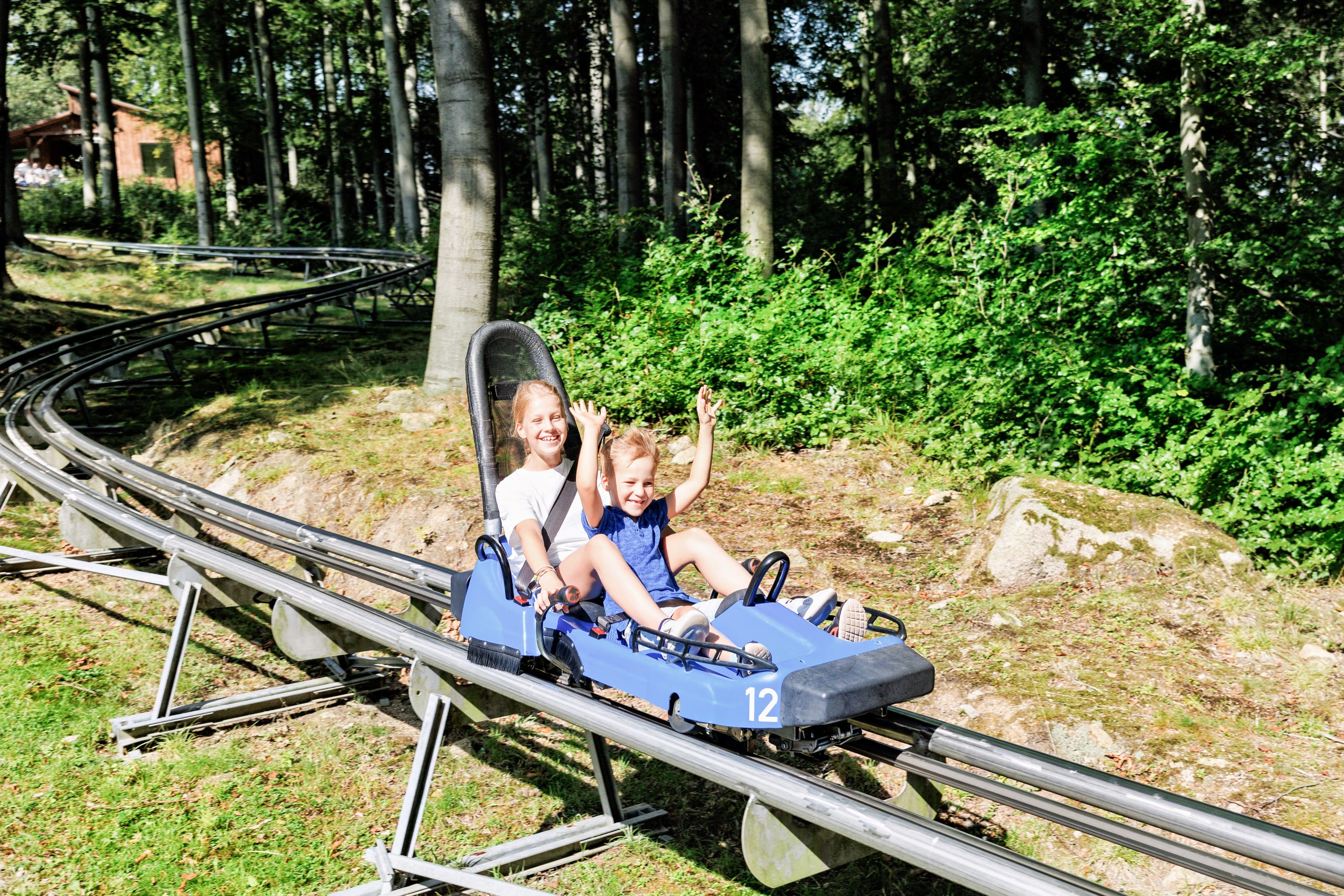 An adult and a child ride a blue roller coaster car through a wooded area, both smiling and raising their hands in excitement as they travel along the track on a sunny day, enjoying one of the park’s thrilling attractions.