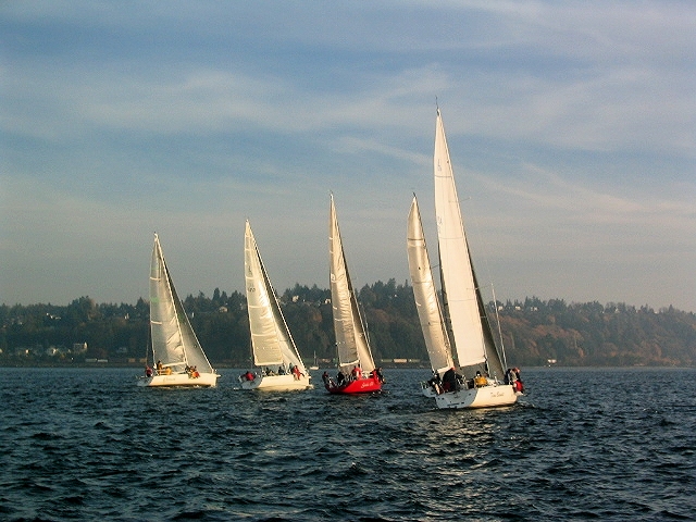 Five sailboats with tall white sails race on a blue lake, their reflections crisp and vivid—perfect for capturing through a print lab—whilst a tree-covered shoreline and buildings appear in the background under a partly cloudy sky.