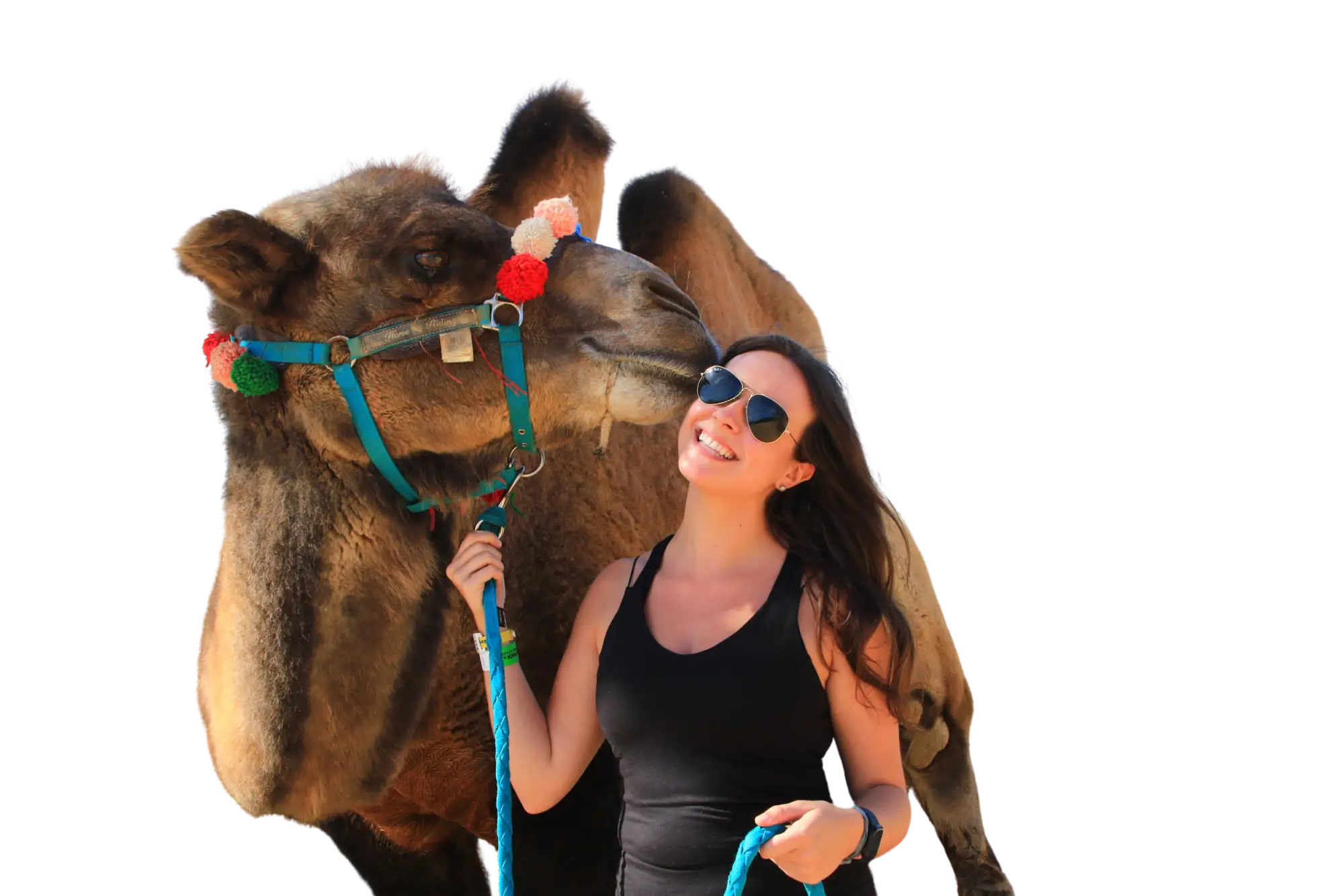 camel-2